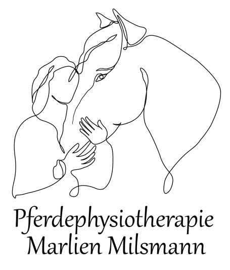 Pferdephysio